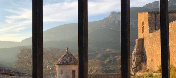 Lutte contre le défrichement illicite en site Natura 2000